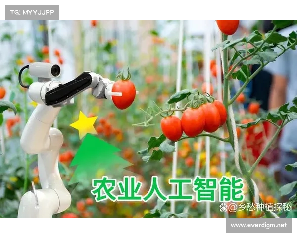 种粮大户的丰收密码:探索高效农业管理与现代化技术的结合之道